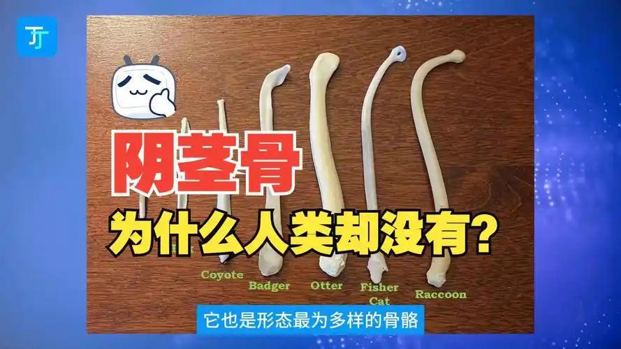 后朱芳雨时代!广东男篮官宣:公开遴选总经理+篮球总监+首席球探